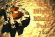 best-bitcoin-mining-pools-2021