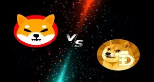 dogecoin-vs-shiba-inu