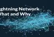 lightning-network-guide