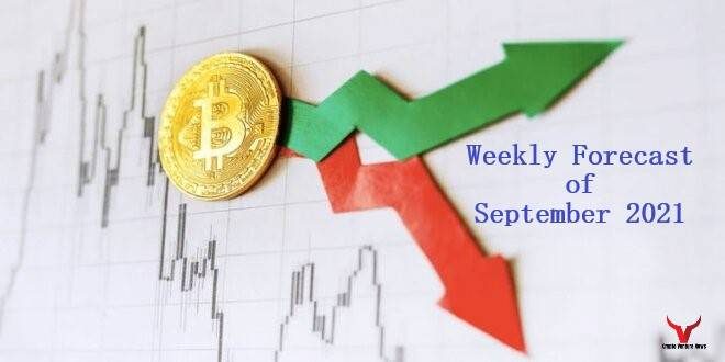 bitcoin-weekly-forecast-september