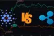 cardano-vs-ripple