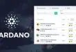 cardano-staking-platforms