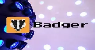 badgerdao-theft