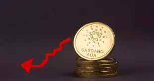 cardano-price-drop