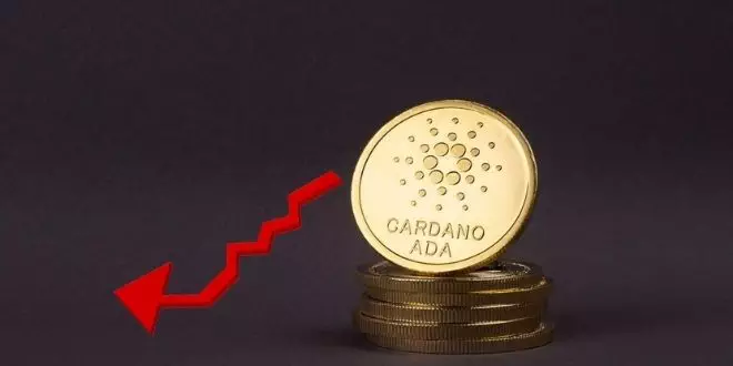 cardano-price-drop
