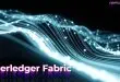 hyperledger-fabric