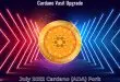 cardano-vasil-upgrade-testnet