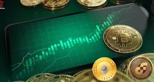Crypto Market Goes Green