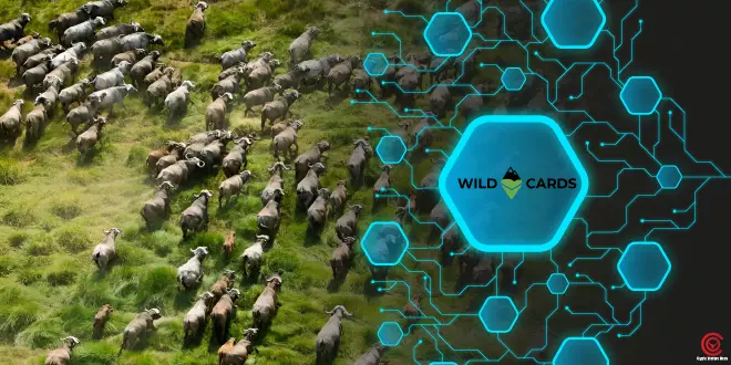 blockchain-promotes-wildlife-conservation