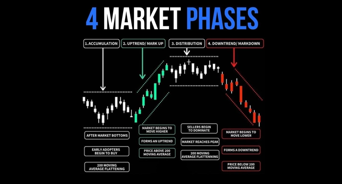 crypto-market-cycle-phases