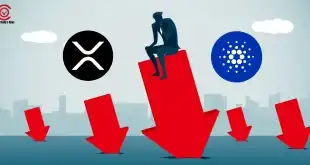 xrp-ripple-ada-cardano-fall