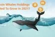 bitcoin-whales-holdings