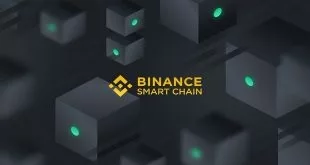 bnb-chain-projects