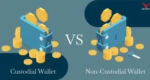 custodial-vs-non-custodial-wallet