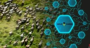 blockchain-promotes-wildlife-conservation
